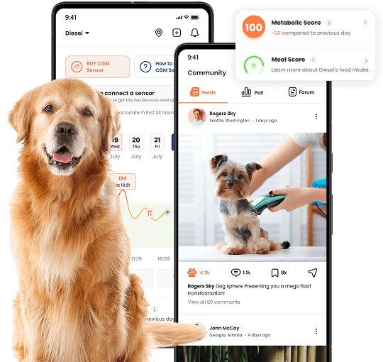 Happy dog with FirmPet app