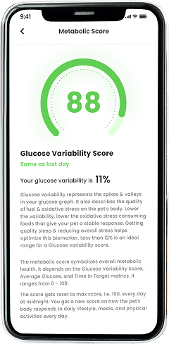 Metabolic Score Screen