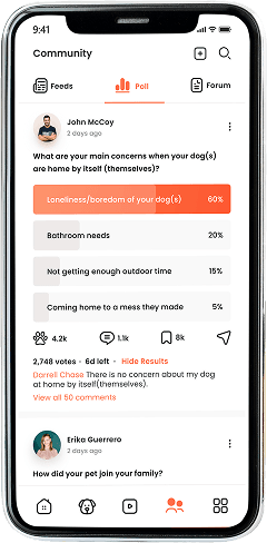 Insulin Dosage Screen
